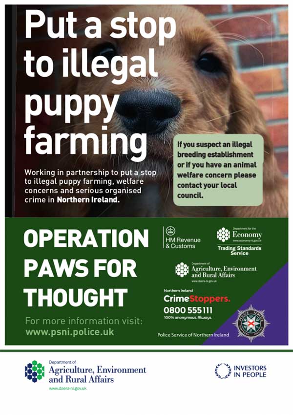 Put a stop to illegal puppy farming, dog in poster, in partnership with Department for Environment, Food & Rural Affairs