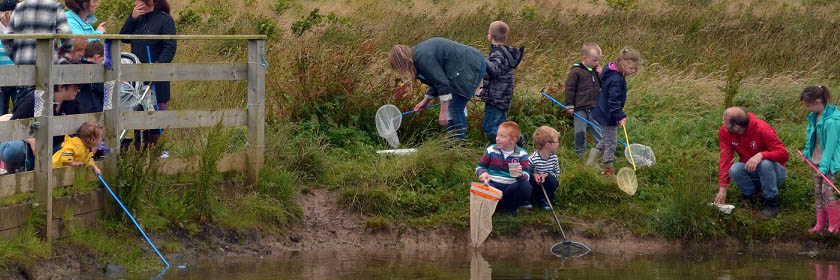 Photograph of children pond-dipping