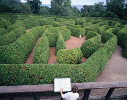 Photograph of Carnfunnock Maze