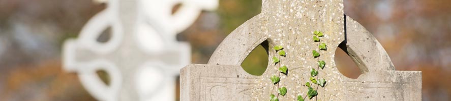 Photograph of a cemetery