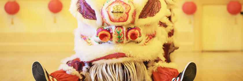 Photograph of a Chinese Dragon celebrating the Lunar New Year