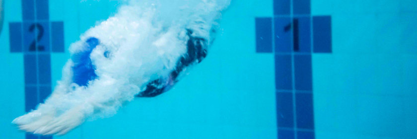 Photograph of someone diving into a swimming pool