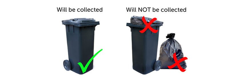 Bin Presentation image