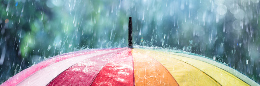 Photograph of rain on an umbrella