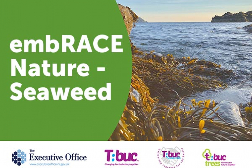 embRACE Nature - Seaweed image