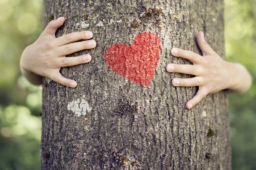 Celebrate Valentine’s Day! image