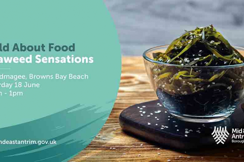 Wild About Food - Seaweed Sensations image