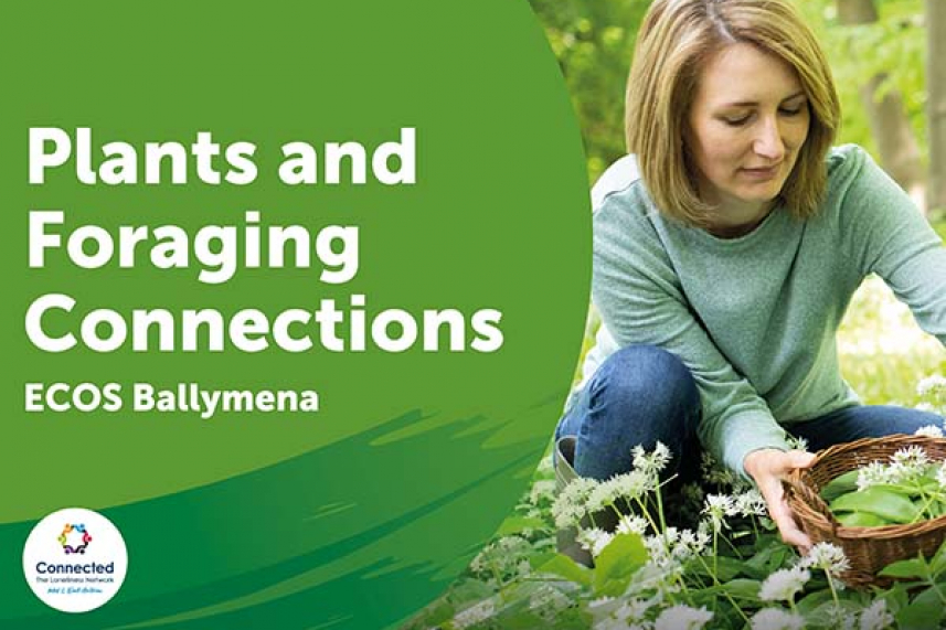 Plants and Foraging Connections image