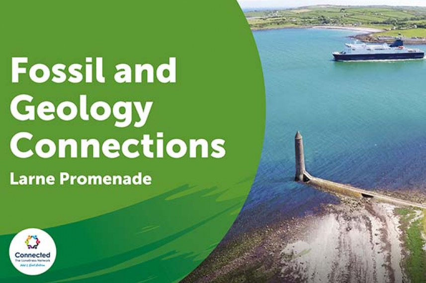 Fossil and Geology Connections image
