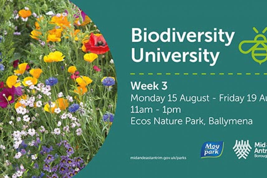 Biodiversity University 2022 - Week 3 image