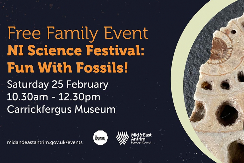 NI Science Festival: Fun With Fossils! image