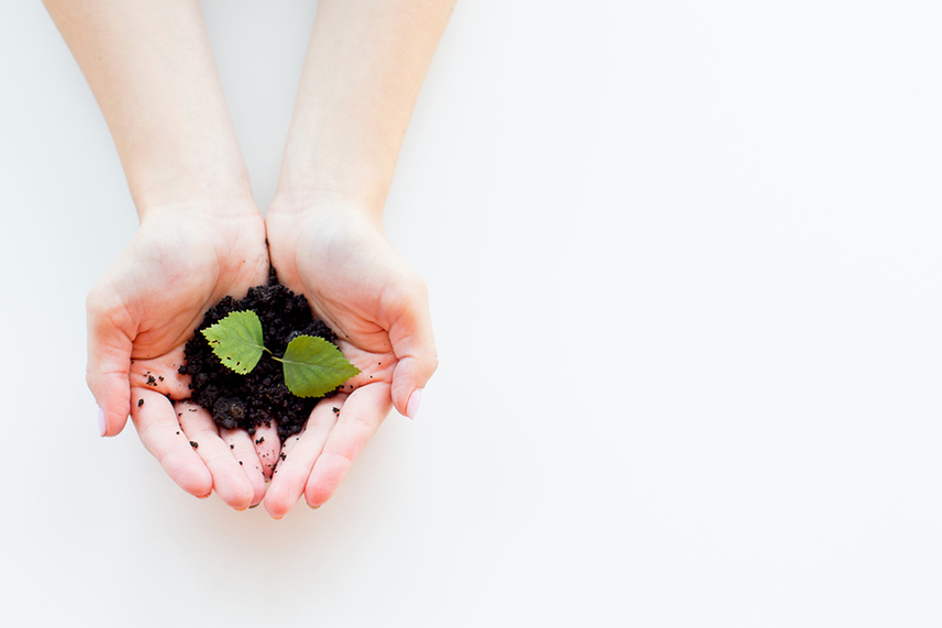 Last chance for rural businesses to bag £90k of grants image