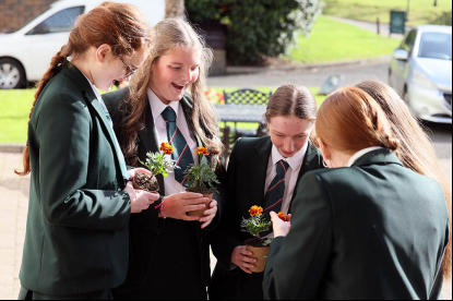 Nearly 500 young people explore careers through World of Work Programme image