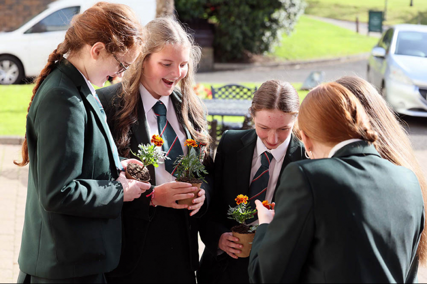 Nearly 500 young people explore careers through World of Work Programme image