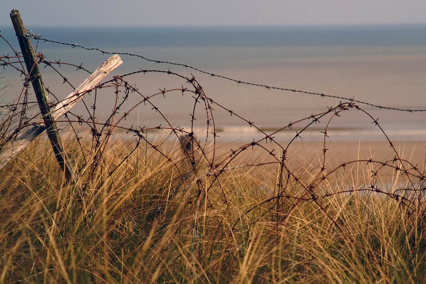 Mayor backs nationwide D-Day campaign for veterans to take part in 75th anniversary commemorations image