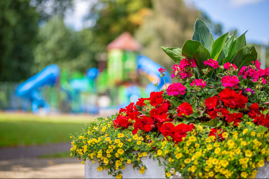 Mid and East Antrim in Bloom Community Competitions are officially open! image