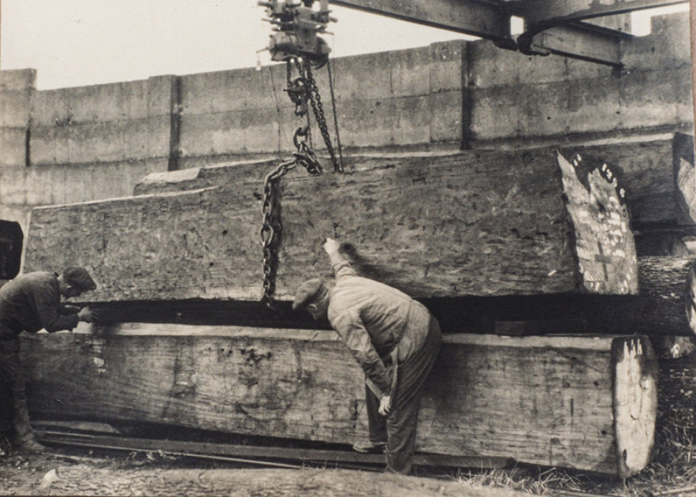 Photograph of yarding mahogany logs at Curran Saw Mills, which will feature at an exhibition during MEA Industrial Heritage Week 2025.