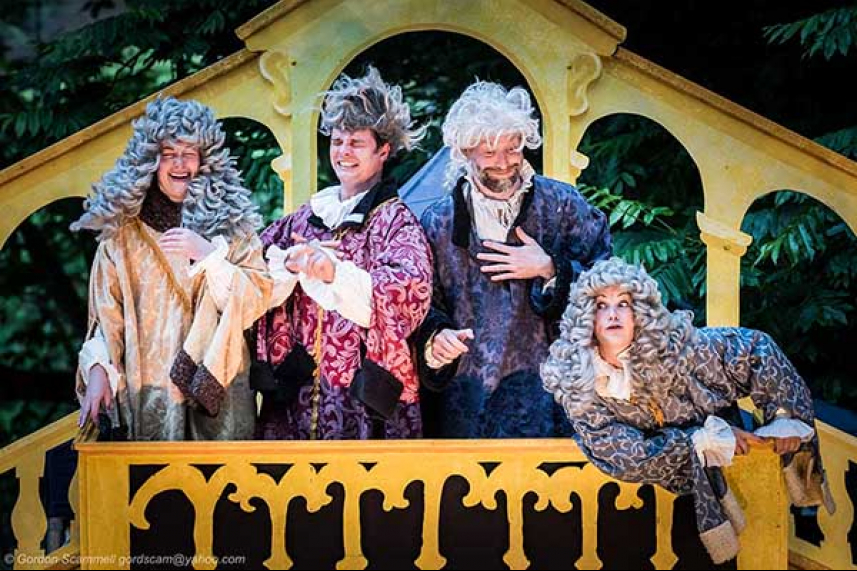 Theatre in the Park: Twelfth Night image