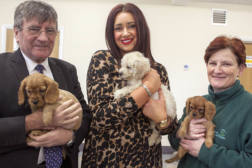 It’s puppy love as Mayor praises those involved in Larne rescue image