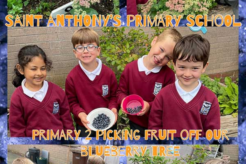 Young horticulturalists and artists in the Borough recognised image