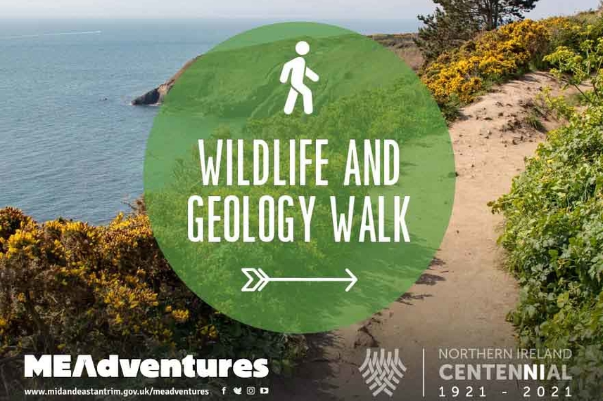 Connected Walks - February image