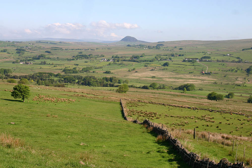 Council awarded platinum status for commitment to environmental excellence image