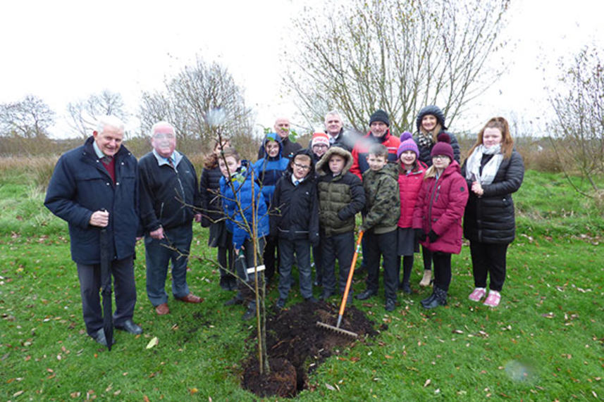 Treemendous local efforts for tree week image